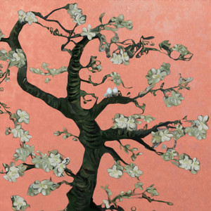 美国人与动ⅩXXZOOP
