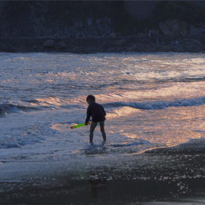 美国人与动ⅩXXZOOP
