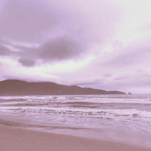 美国人与动ⅩXXZOOP
