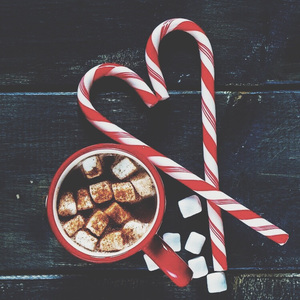 美国人与动ⅩXXZOOP
